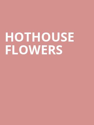Hothouse Flowers at O2 Shepherds Bush Empire